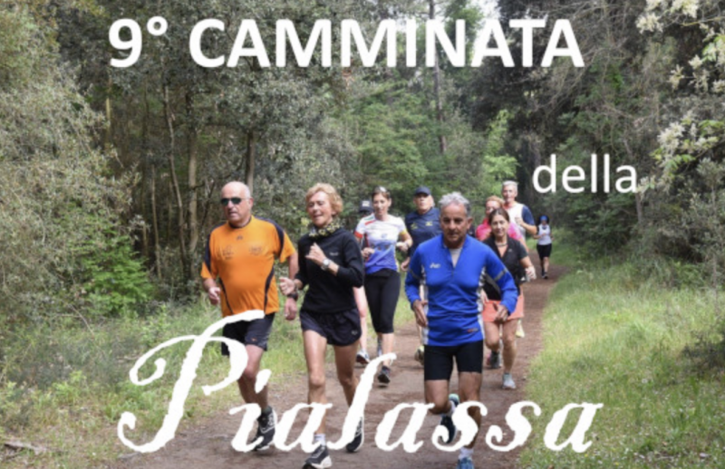 9° camminata della Pialassa